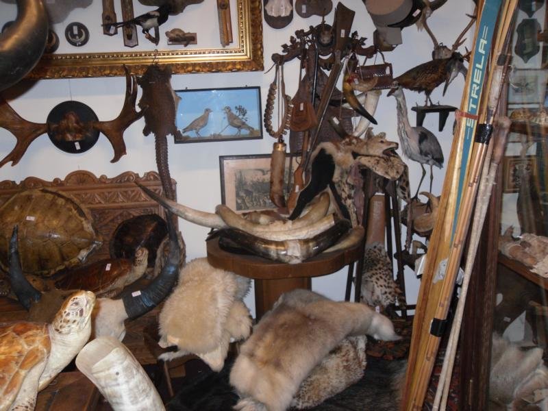 03.November 2012 Trödel-Rolf 050.JPG