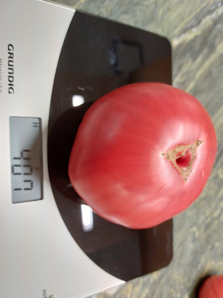 20220806_144503.jpg