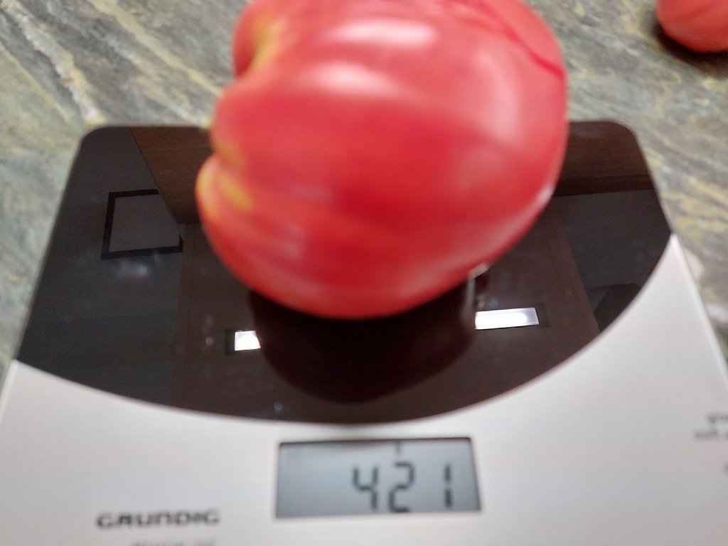 20220806_144714.jpg