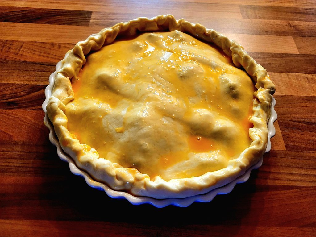 20230310_165945.jpg