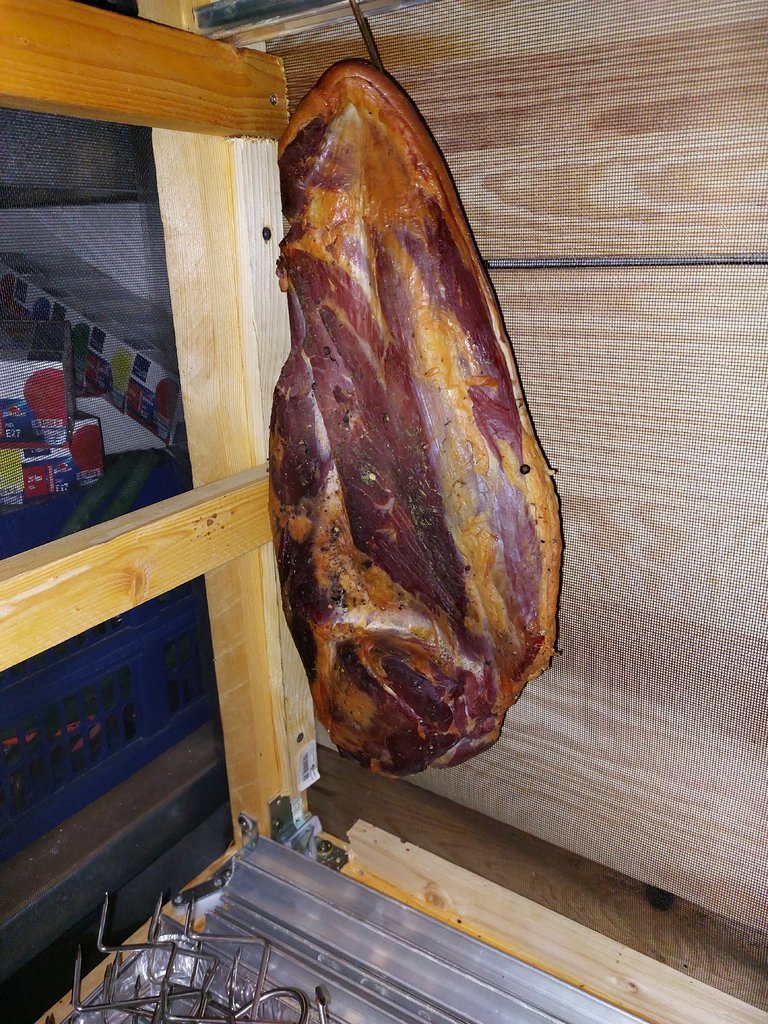 20230312_111229.jpg