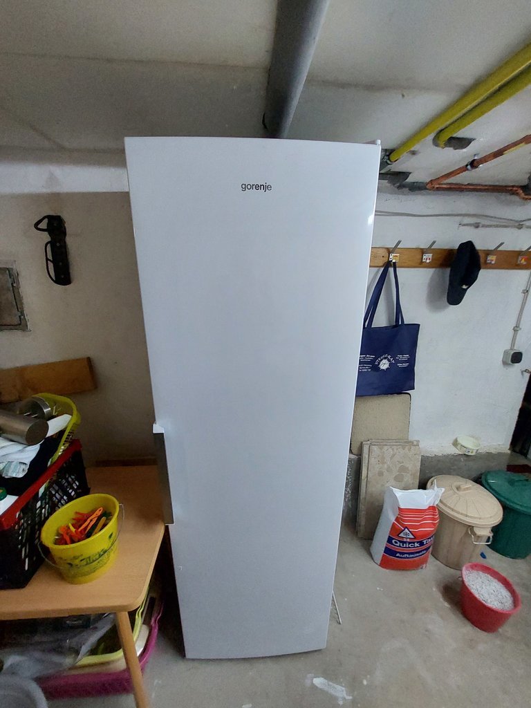 20230312_111403.jpg