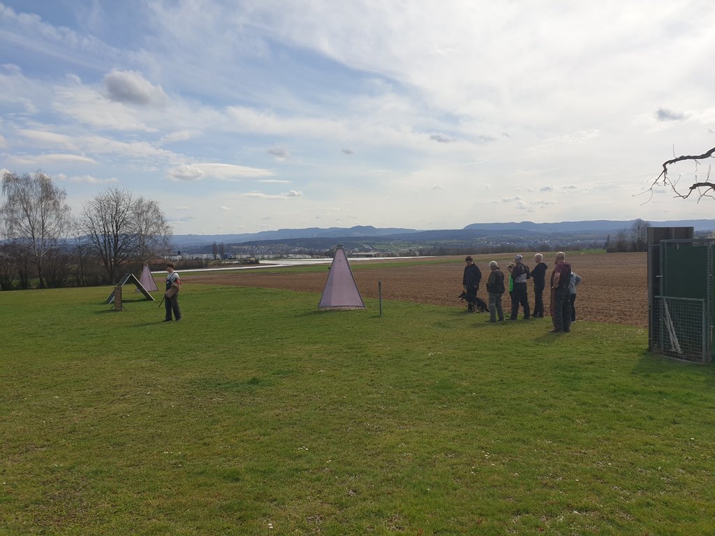 20230319_120727.jpg