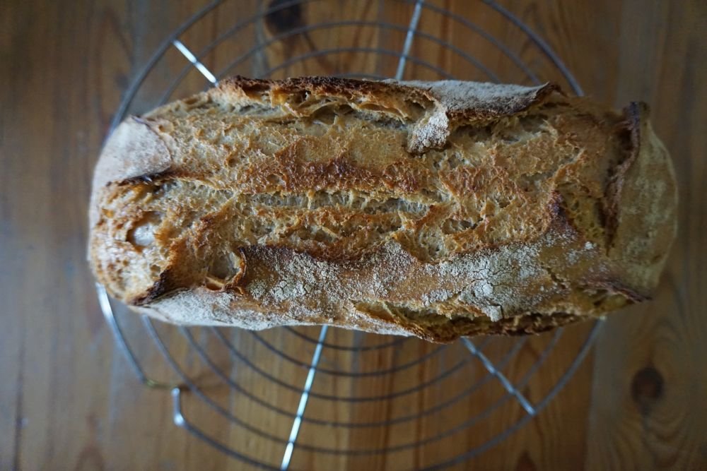 02_Brot.jpg