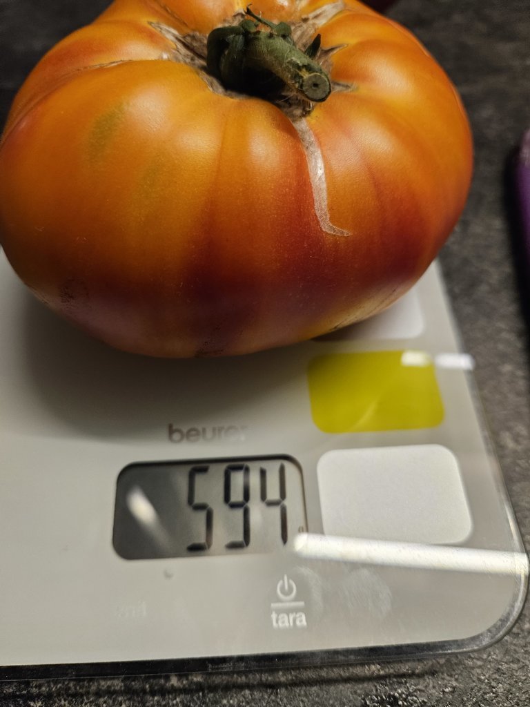 20230709_171237.jpg
