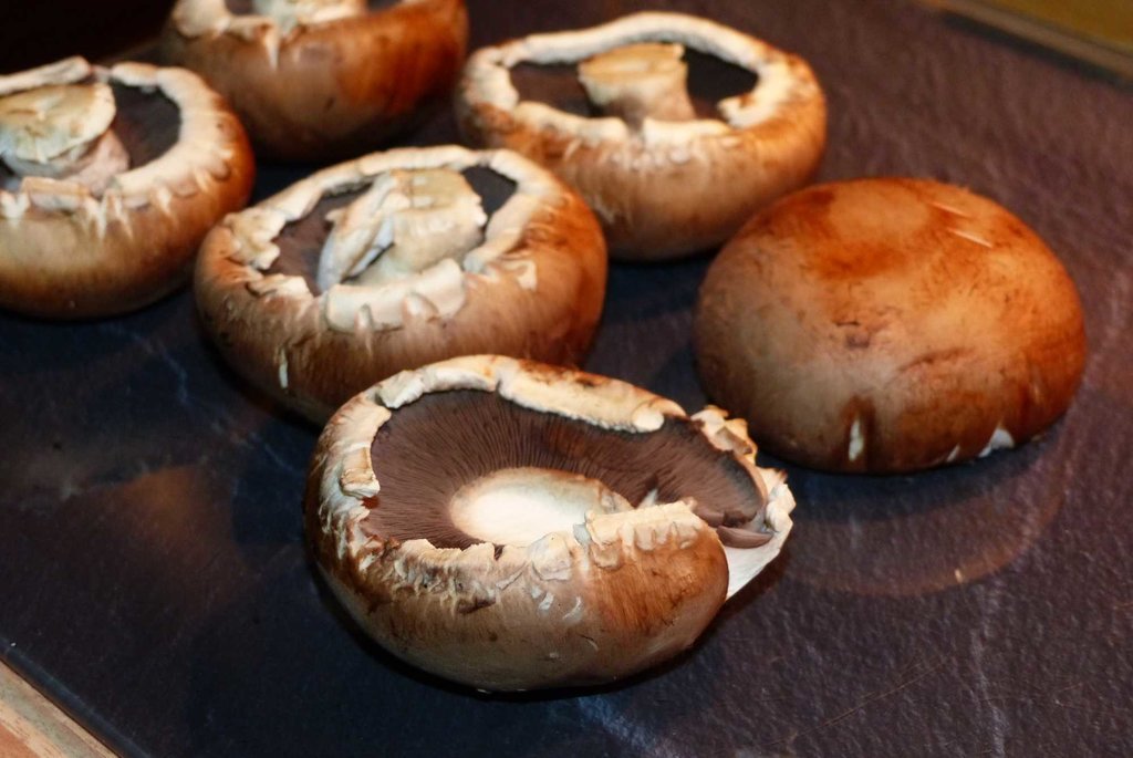 01 Champignons.jpg