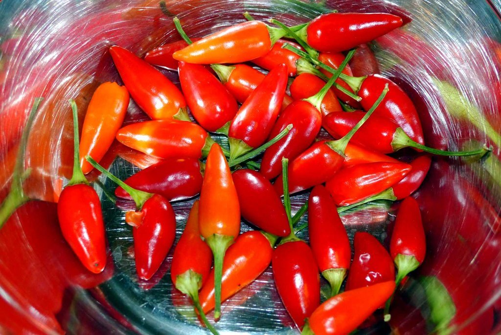 01 Chilis.jpg