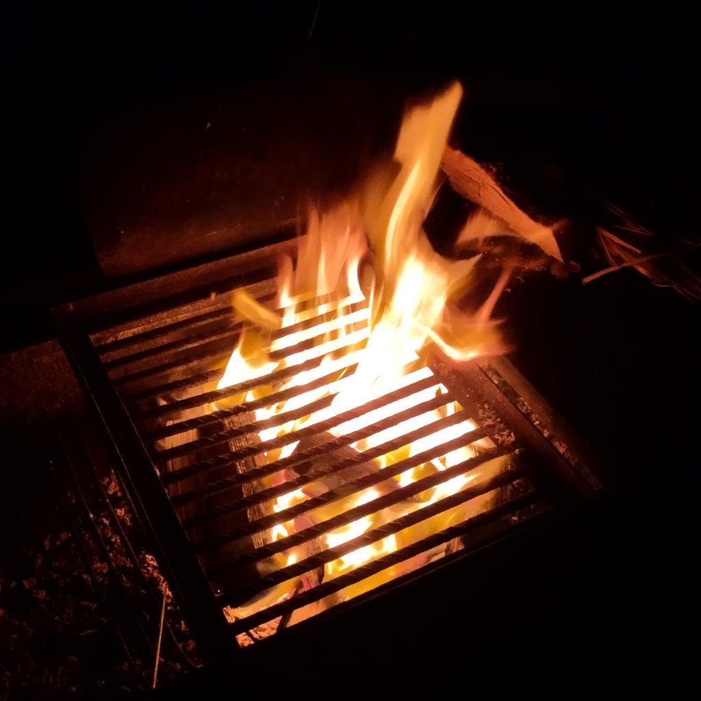 IMG_20231113_113423.jpg