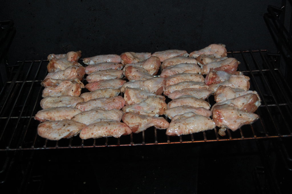 DSC_8384.JPG