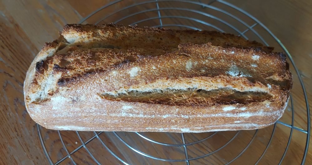 01_Brot.jpg