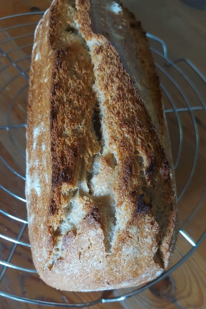 02_Brot.jpg