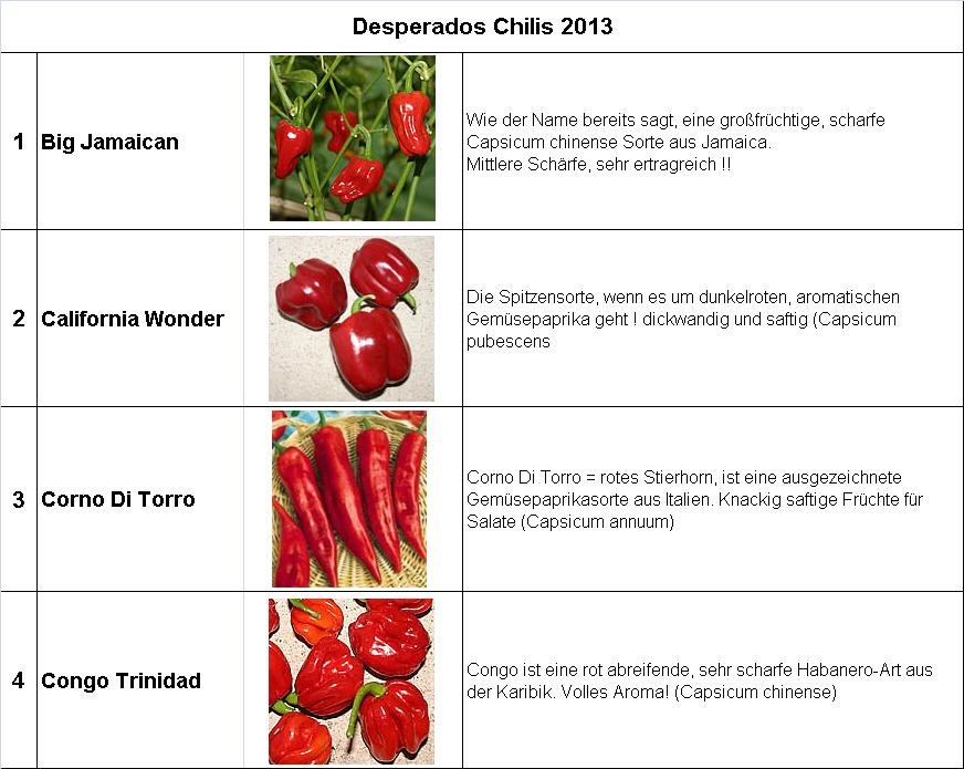 Chili-2013-1-4.jpg