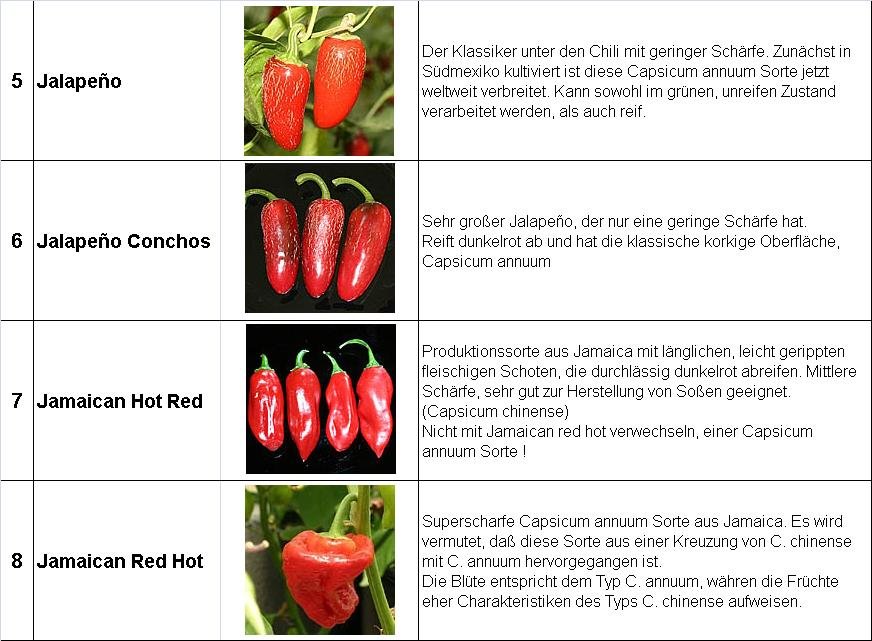 Chili-2013-5-8.jpg