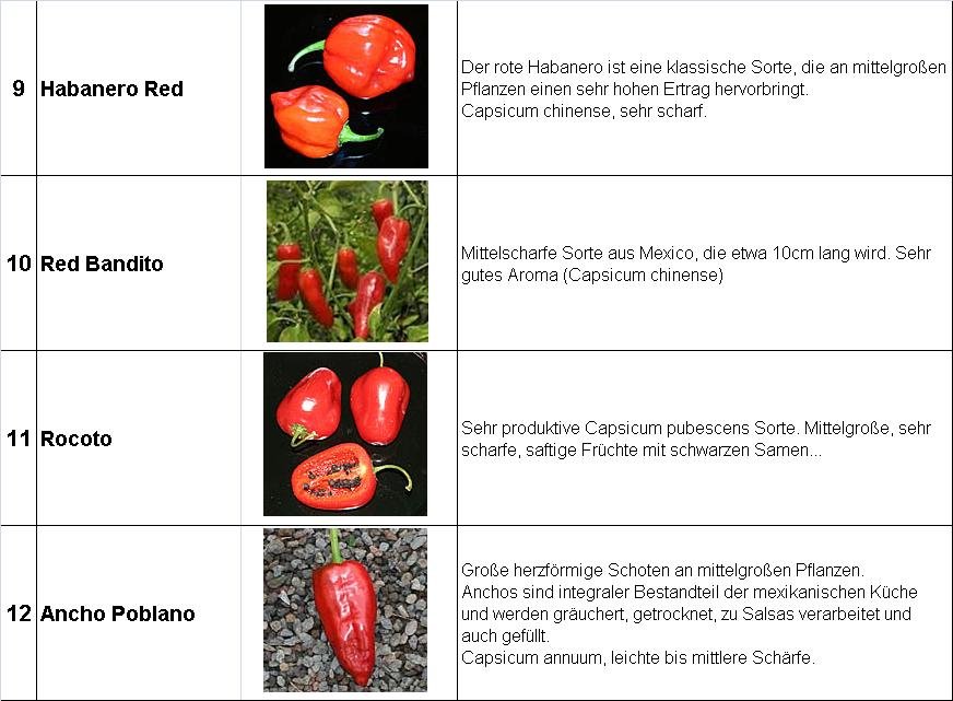 Chili-2013-9-12.jpg