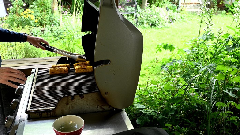 vlcsnap-2024-07-13-15h55m19s812.jpg
