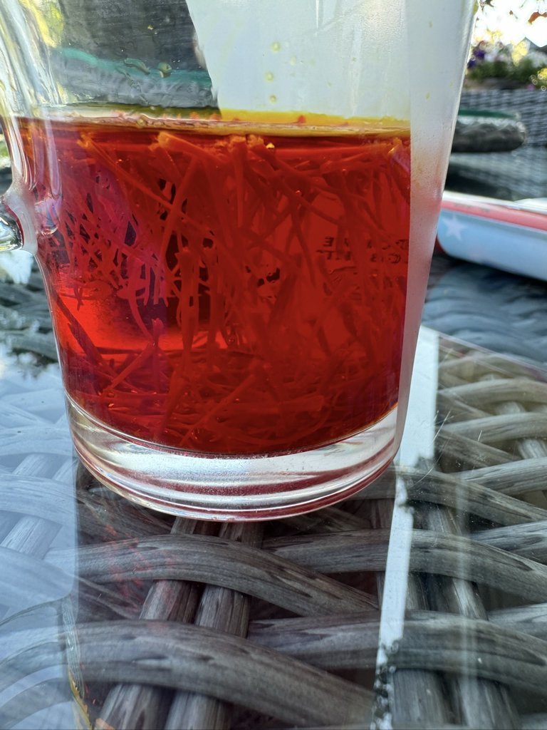 IMG_7468.jpeg IMG_7468.jpeg