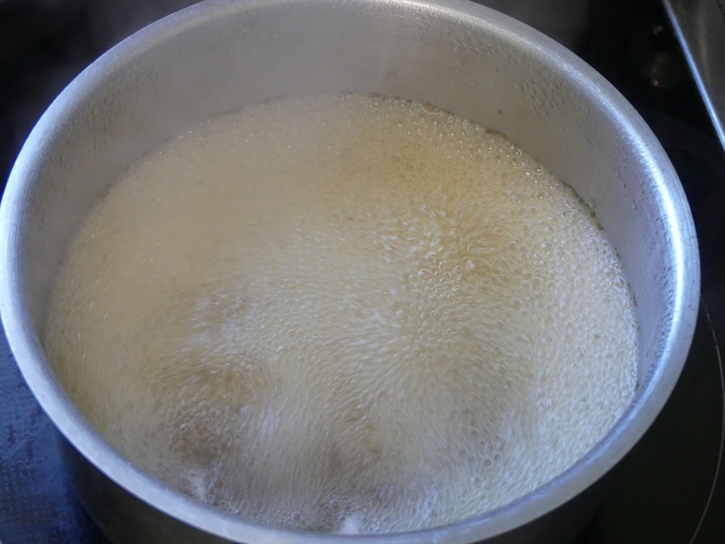 P1000084.JPG