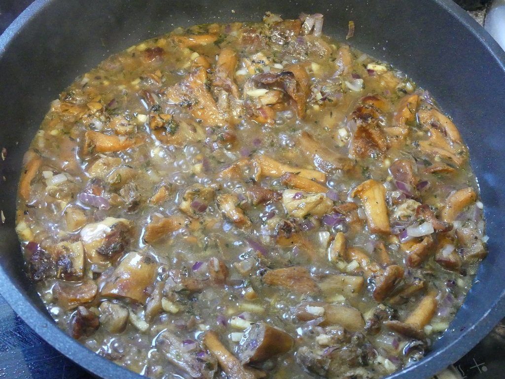 P1000088.JPG