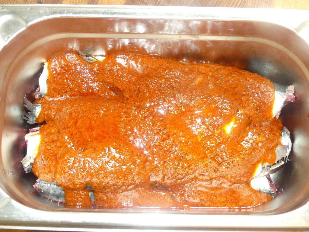 P1000487.JPG