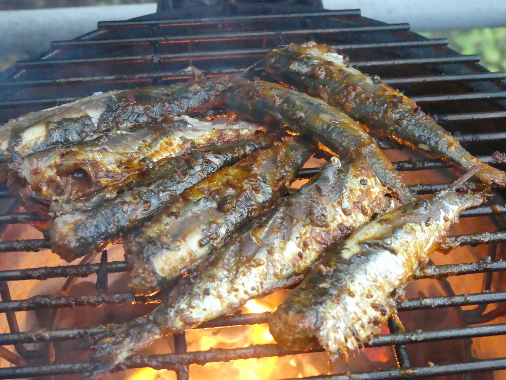 P1000492.JPG
