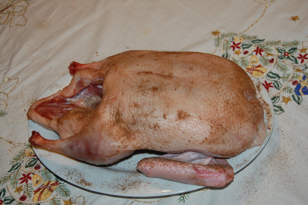 DSC_8951.JPG