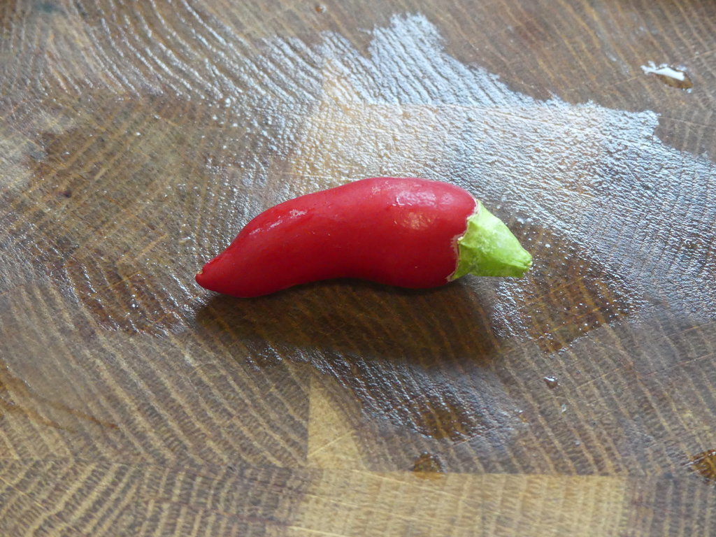 P1000886.JPG