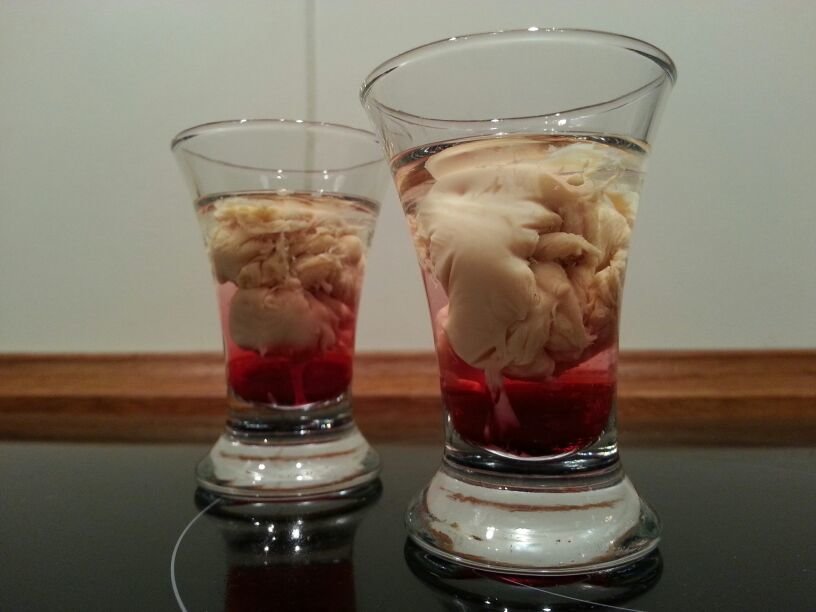 IMG-20130105-WA0008.jpg
