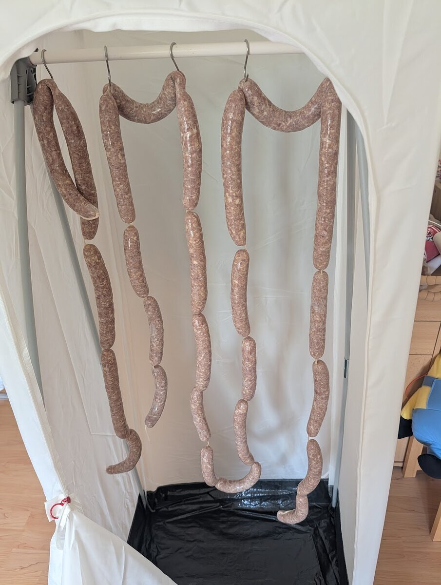 PXL_20251115_103325015.jpg PXL_20251115_103325015.jpg