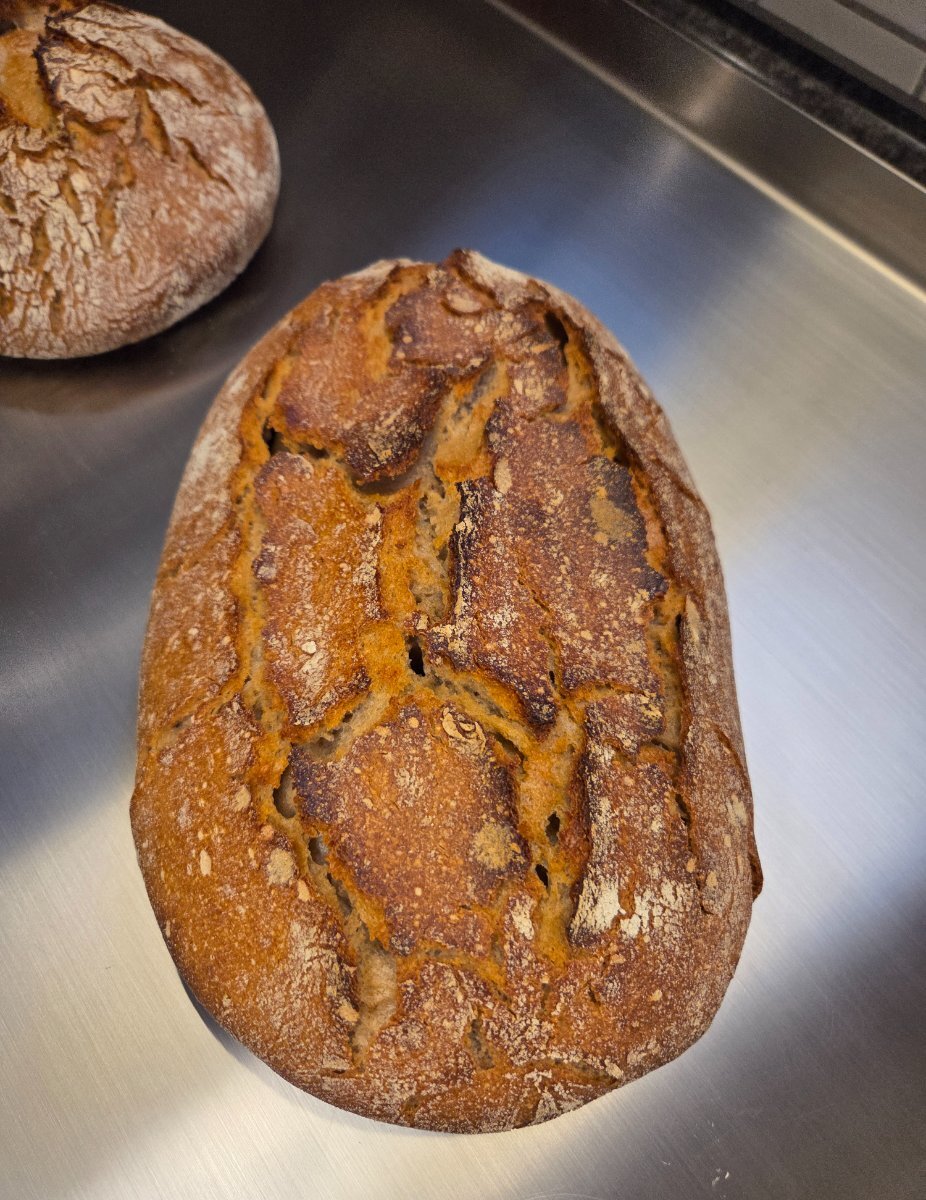 20251130_145338.jpg 20251130_145338.jpg