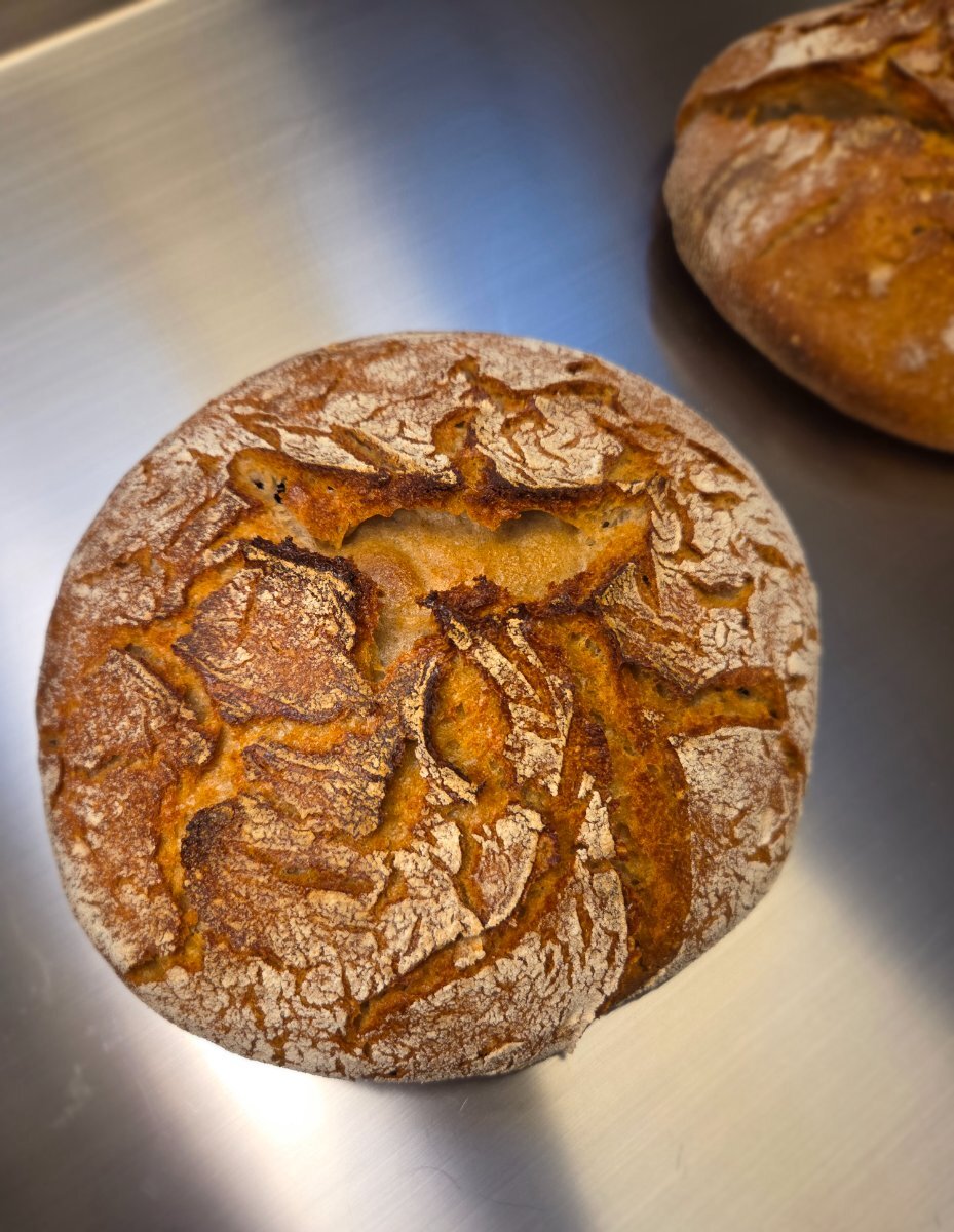 20251130_145424.jpg 20251130_145424.jpg