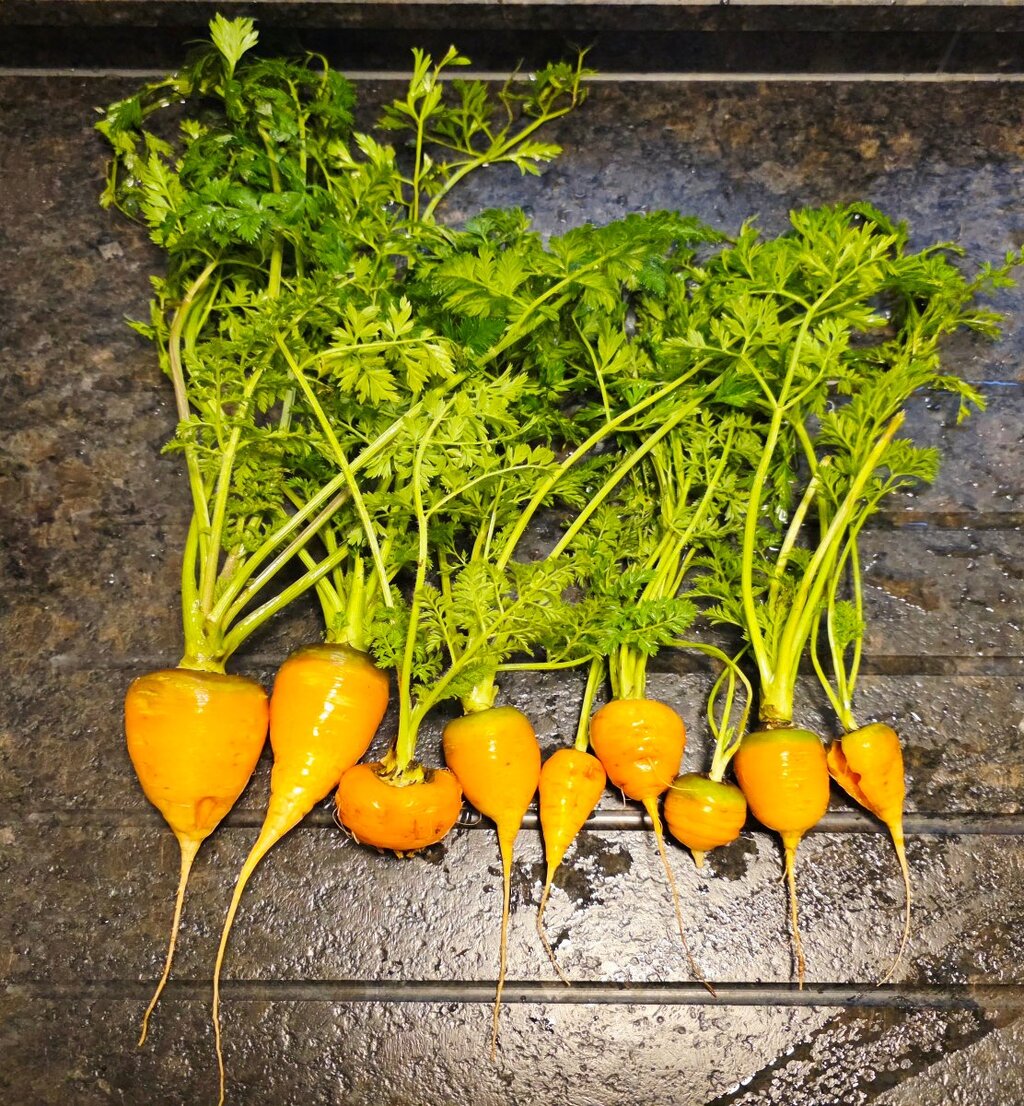 20260109_092240.jpg