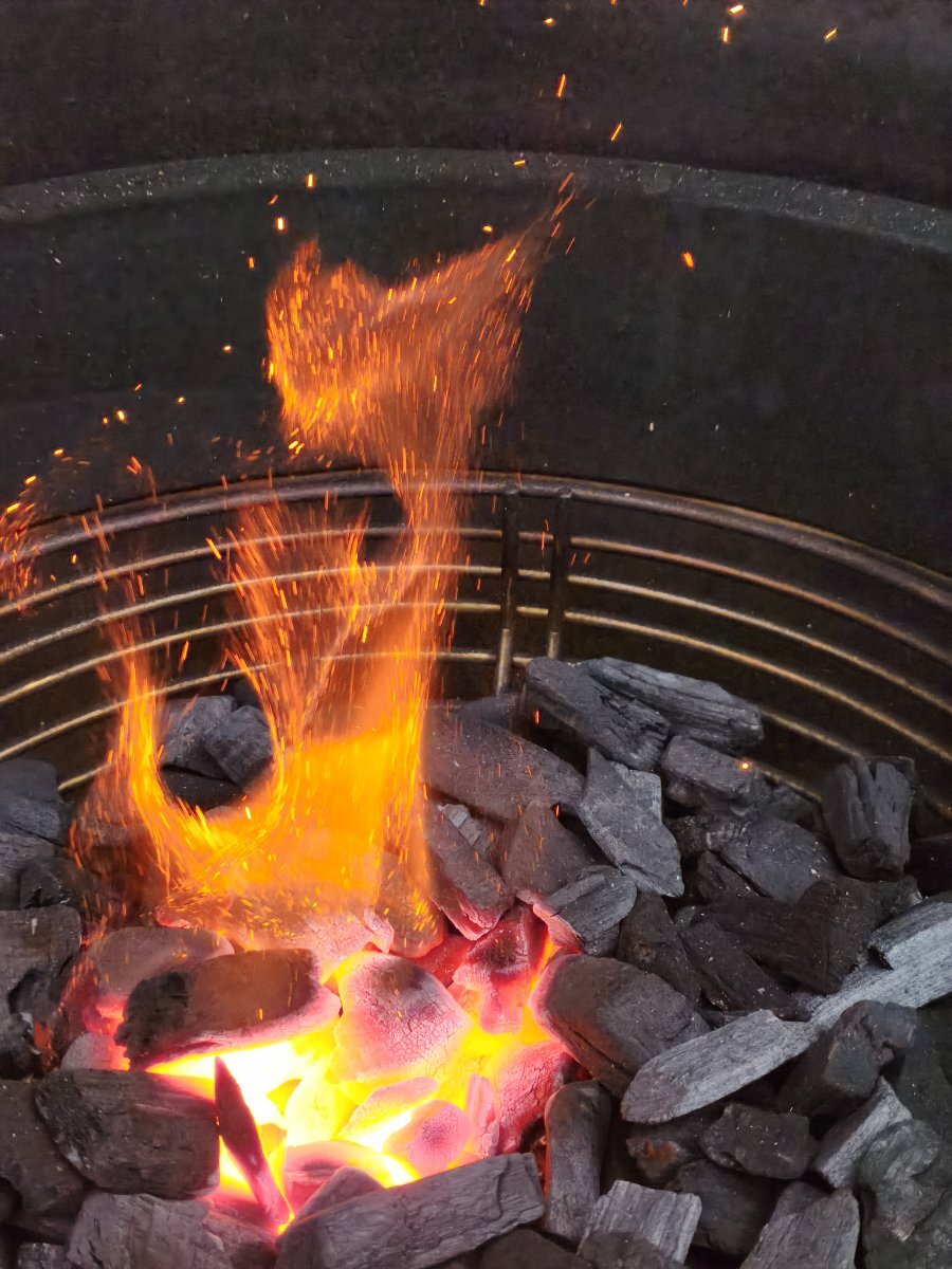 IMG_20260222_171648.jpg IMG_20260222_171648.jpg