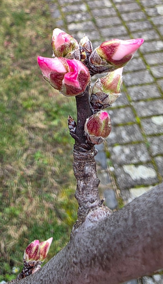 20260224_143644.jpg