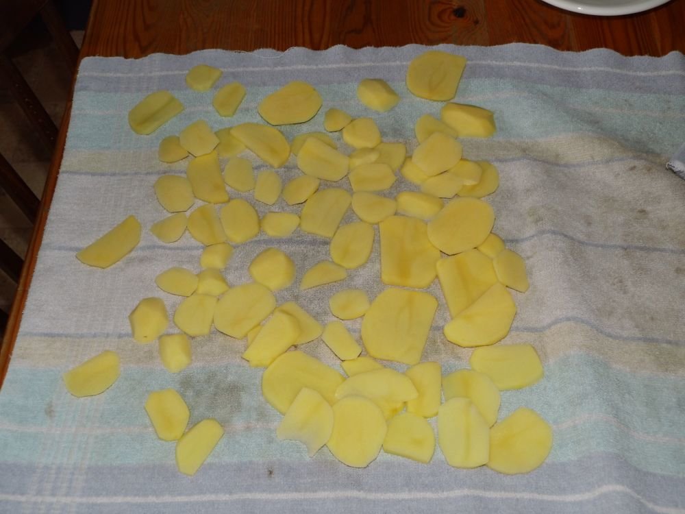 03_gewässerte_und_getrocknete_Kartoffelscheiben.jpg