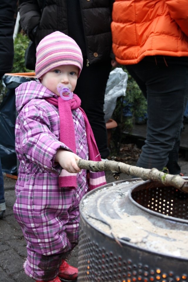 IMG_5377.JPG