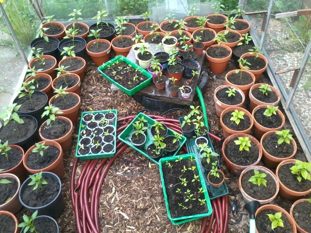 2013-05-11 15.49.33.jpg