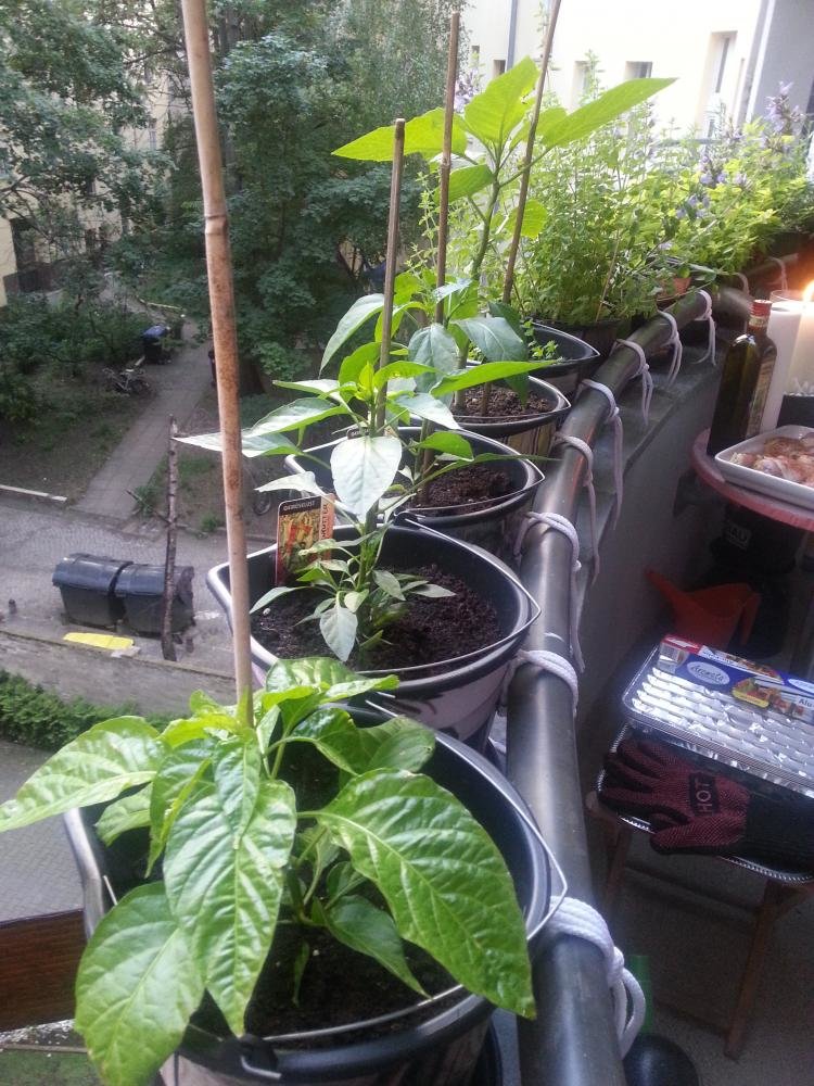 20130607_201825.jpg