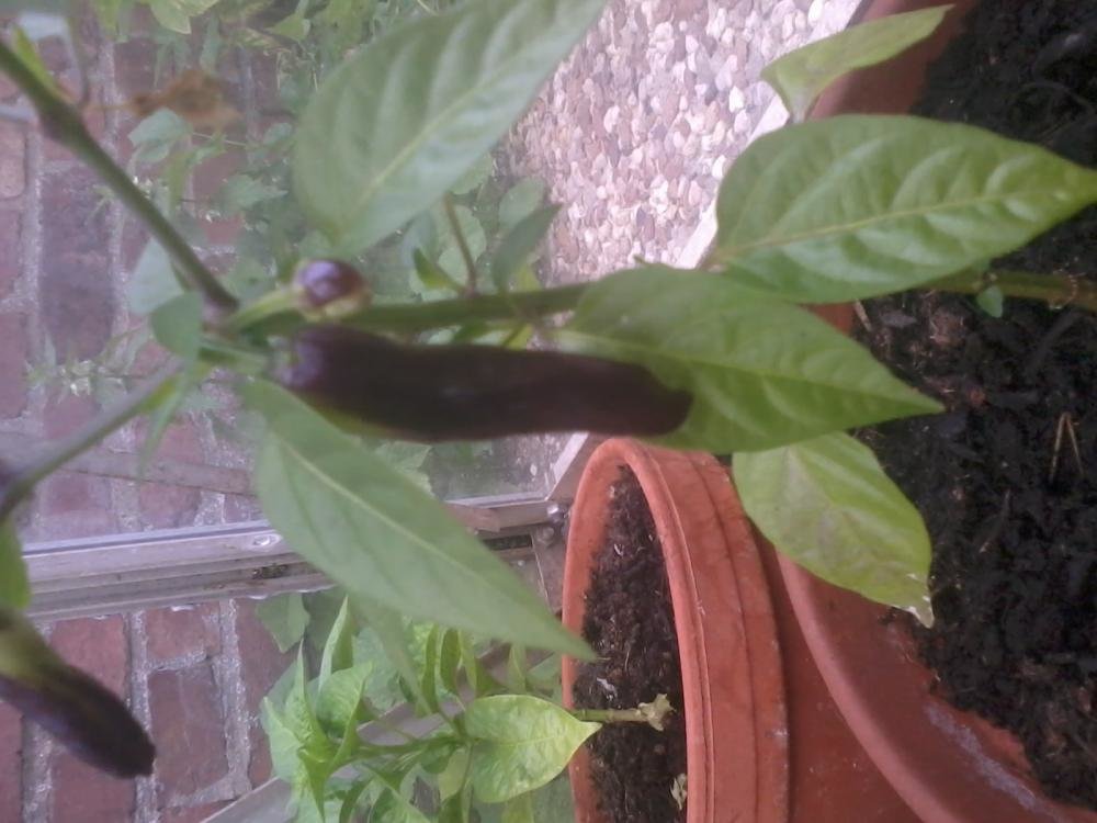 2013-06-13 06.51.36.jpg