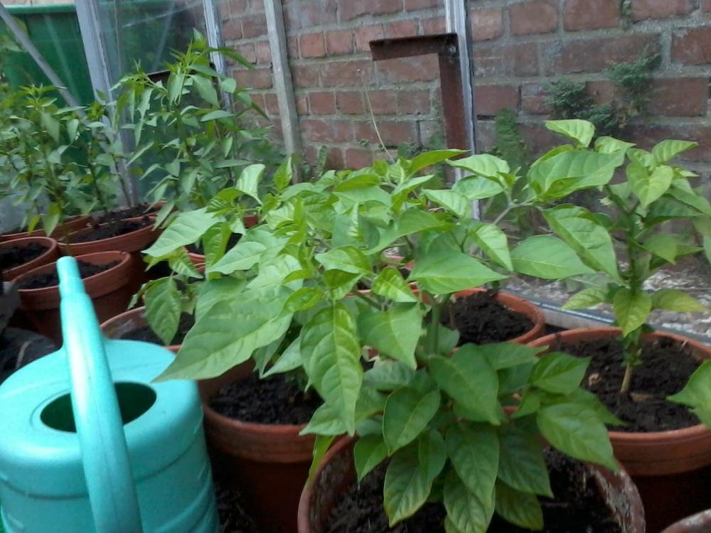 2013-06-27 20.09.31.jpg