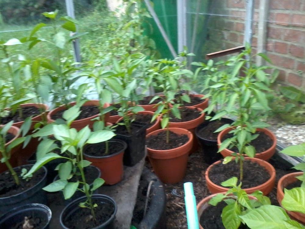 2013-06-27 20.09.35.jpg