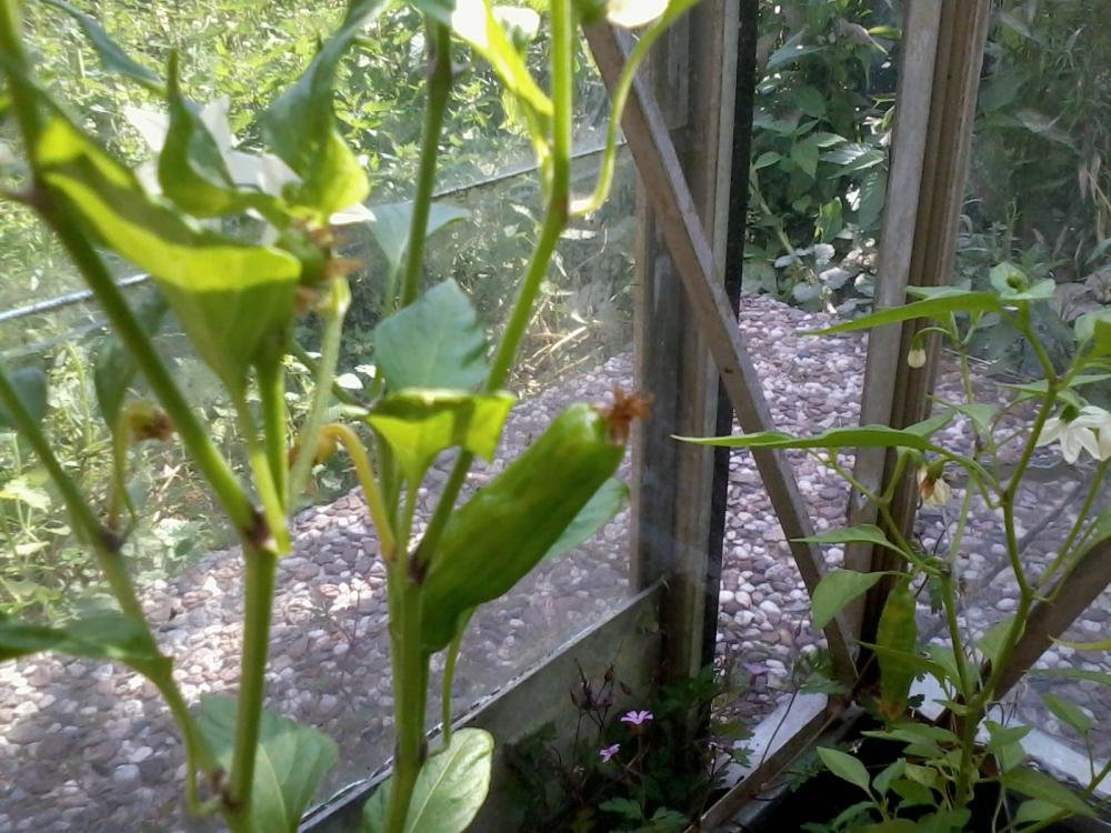 2013-07-15 16.41.17.jpg
