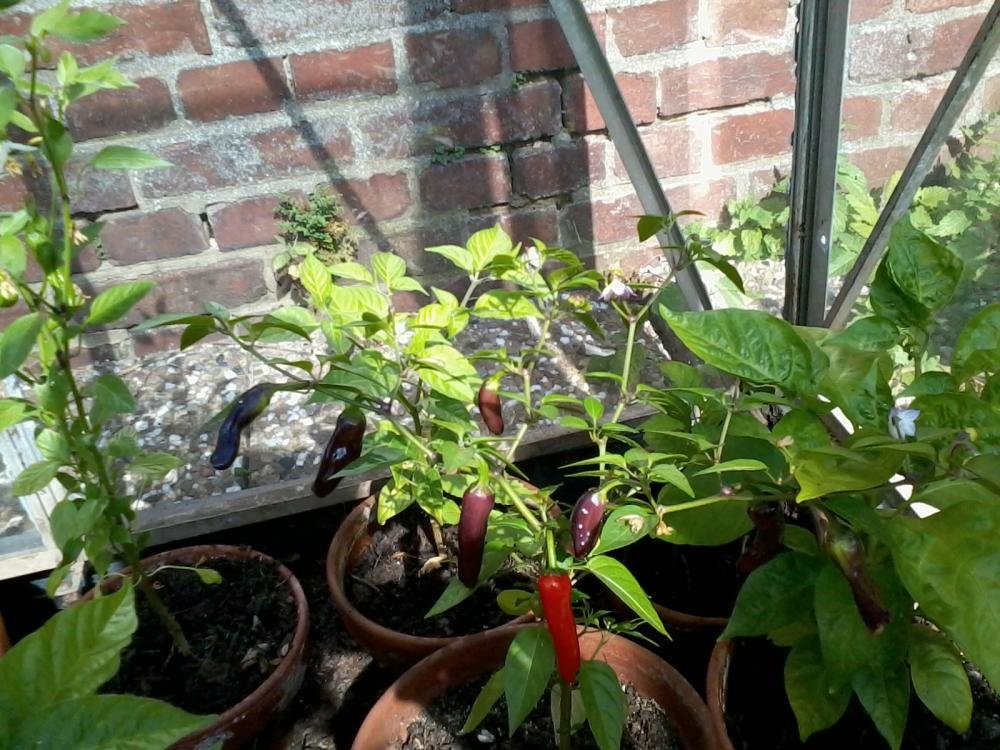 2013-07-15 16.43.25.jpg