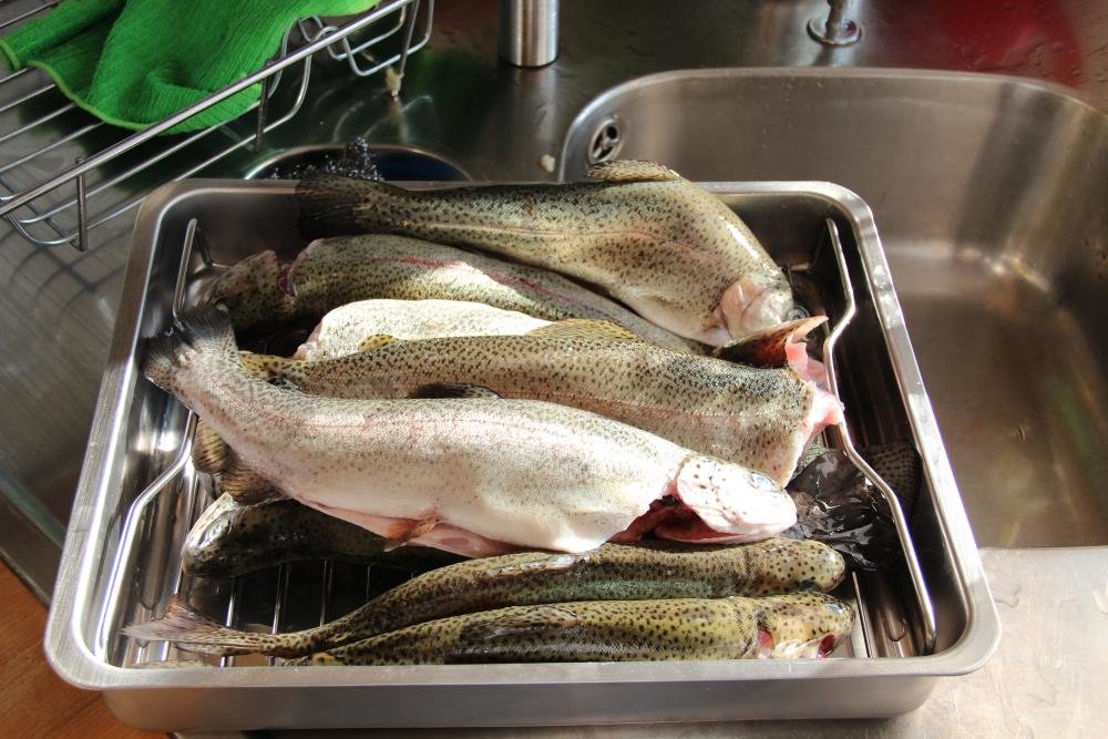 2013_07_22_Forellen_Räuchern-5204.jpg