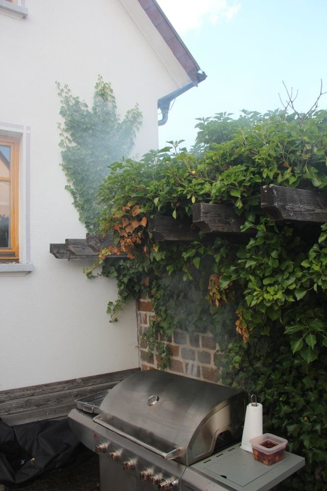 2013_07_22_Forellen_Räuchern-5213 - Kopie.jpg