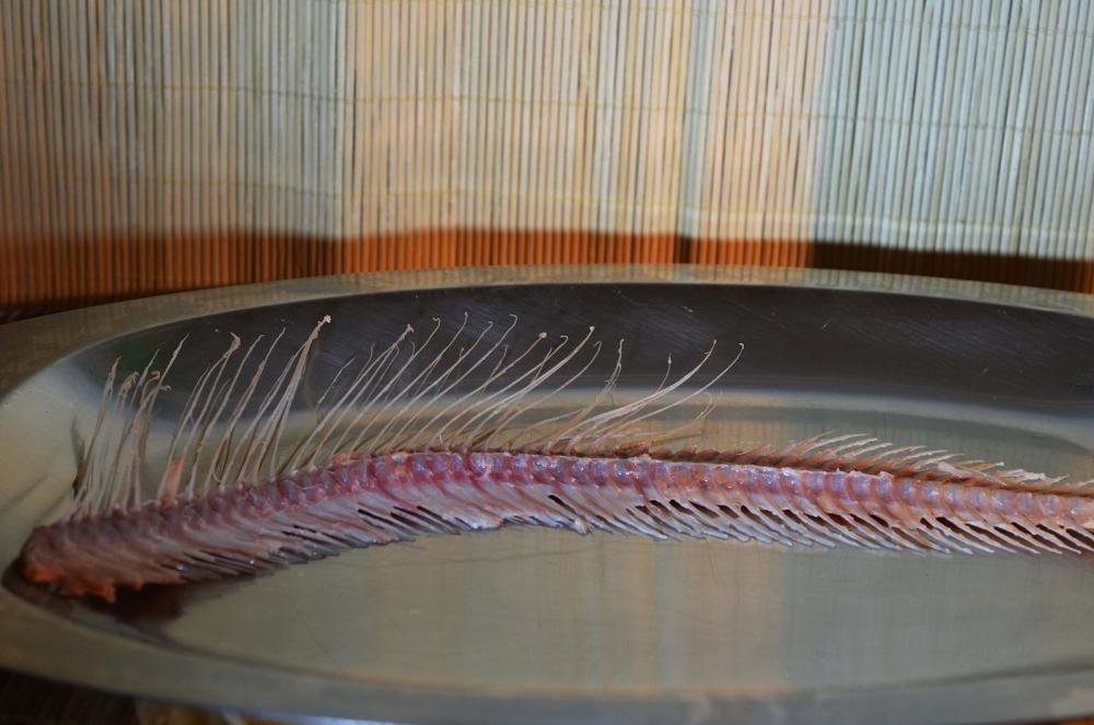 DSC_1531.jpg