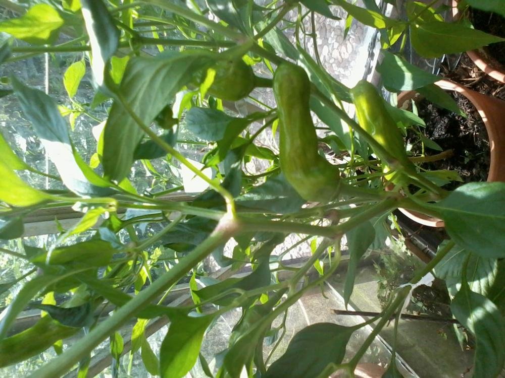2013-08-04 15.41.43.jpg