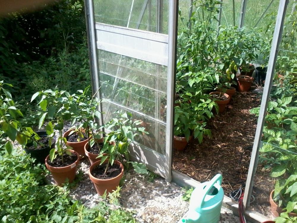 2013-08-04 15.43.45.jpg