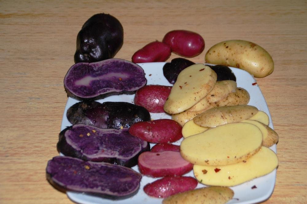 Kartoffeln 01.jpg
