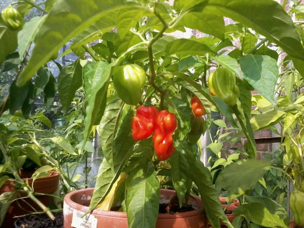 2013-08-29 14.42.10.jpg