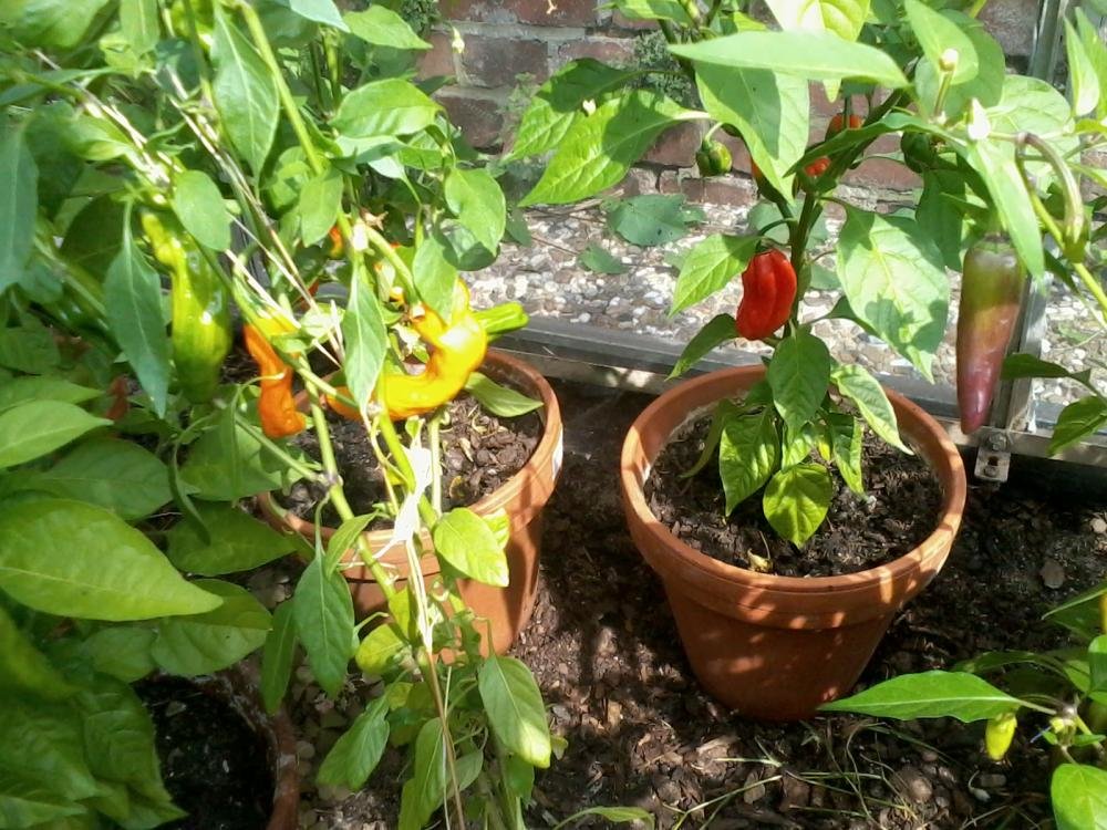 2013-08-29 14.43.23.jpg